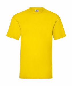 T-Shirt - FDP