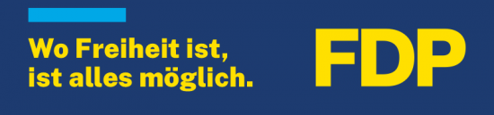 Banner 70x300 cm - FDP