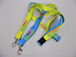 Lanyard