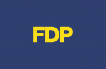 Visitenkarten, quer - FDP